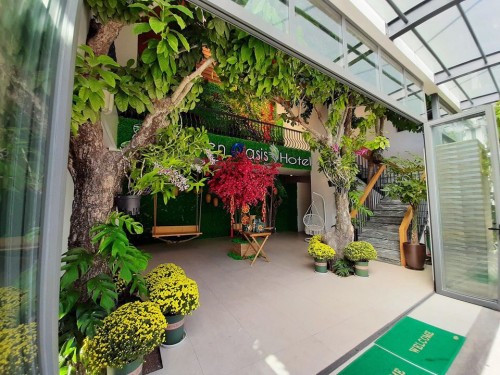 Những ngày cuối năm Kỷ Hợi !